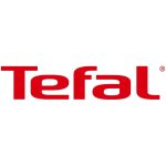 Tefal_logo.svg-870x450-1